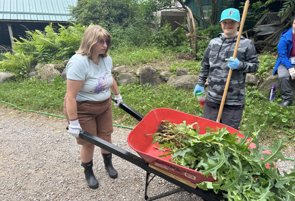 Jefferson Lighthouse Program Light House Programs